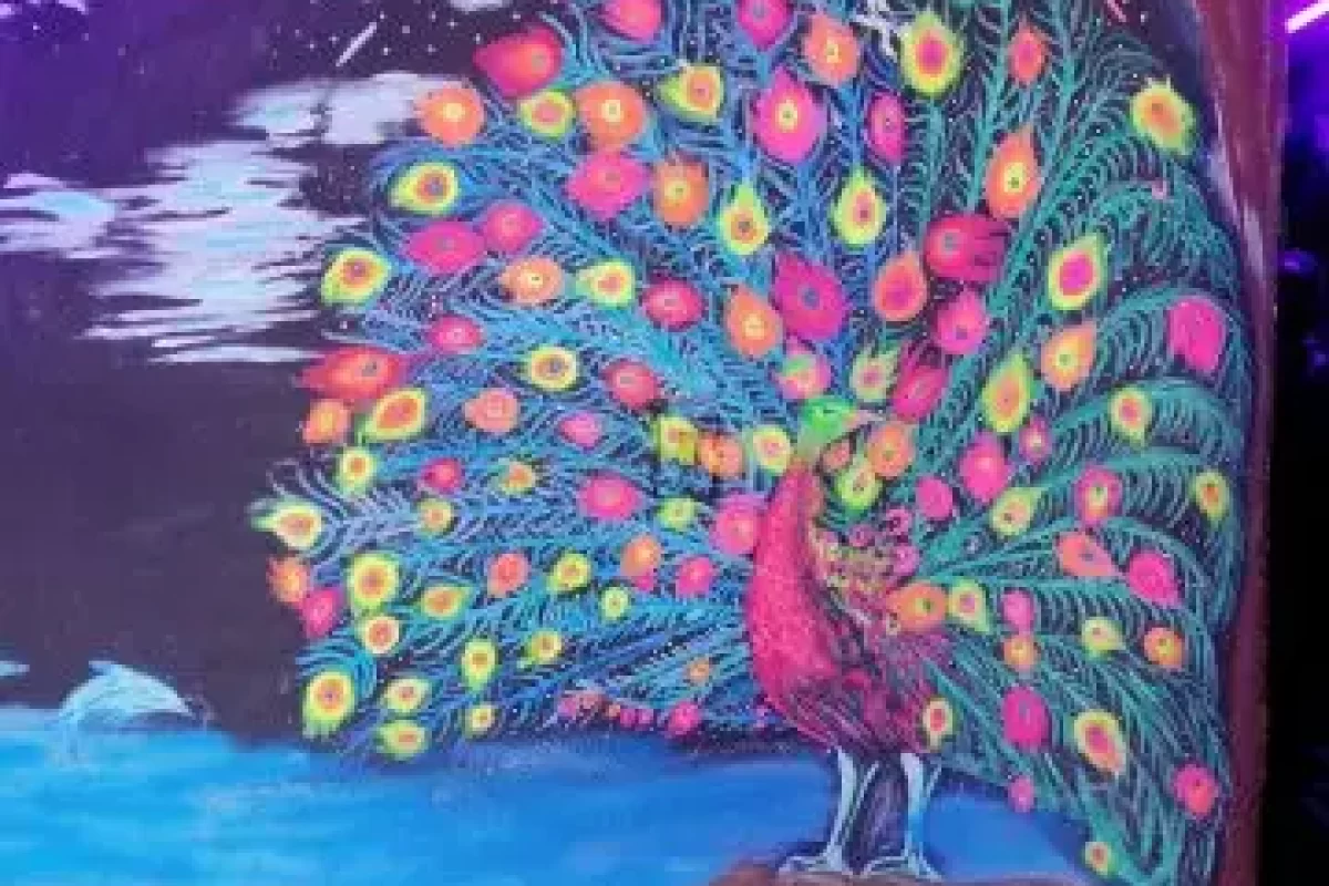 Turismo Resiliente (15)