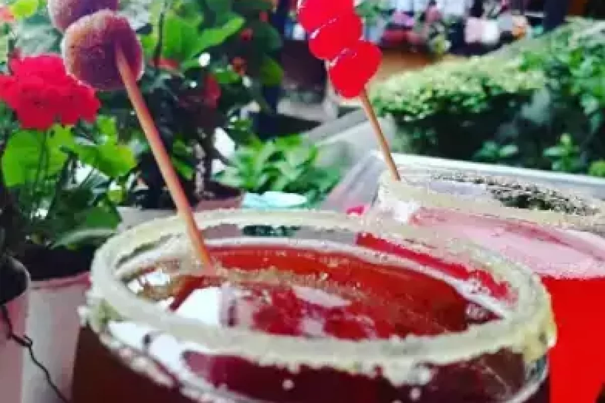 Turismo Resiliente (90)